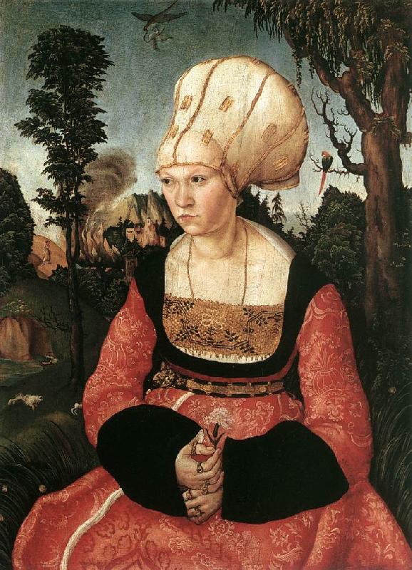 CRANACH, Lucas the Elder Portrait of Anna Cuspinian dfg oil painting image